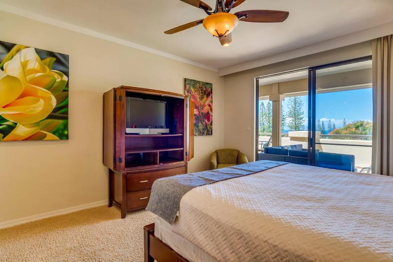 Kapalua Extraordinaire With Glorious Ocean Views! Apartment Kahana